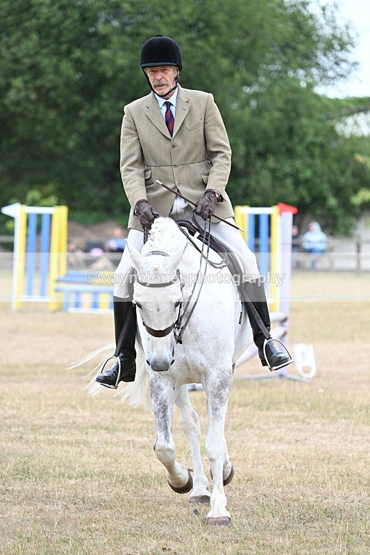 WJ7_0931 - Class 7 Riding Club Show Horse