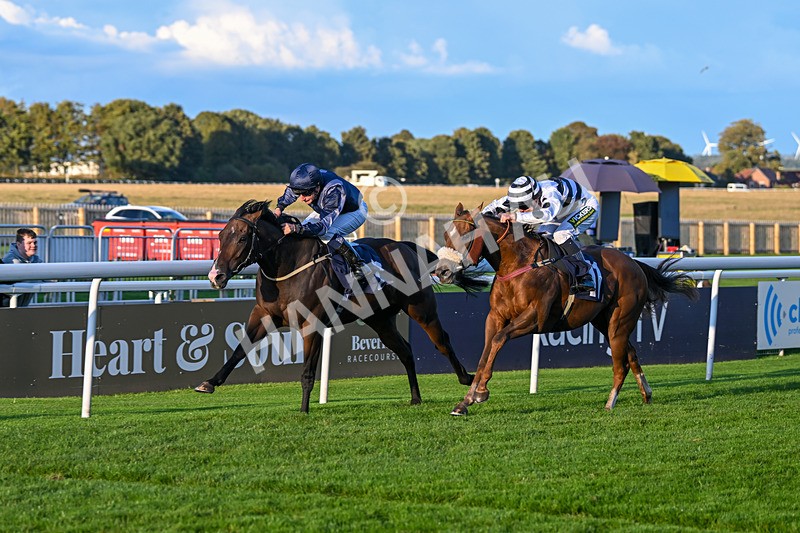 240924-Race 8-Claxton Bay-7162 - Race 8