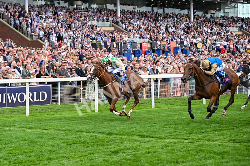 220826-Race 4-Daiquiri Bay-0442 - Race 4 15.35pm Sky Bet Ebor Handicap