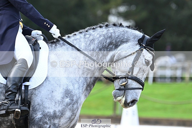 231019-095111-01240 - 028-BOLEYBAWN.COOLEY.LADY-Claire.Fielding-DR