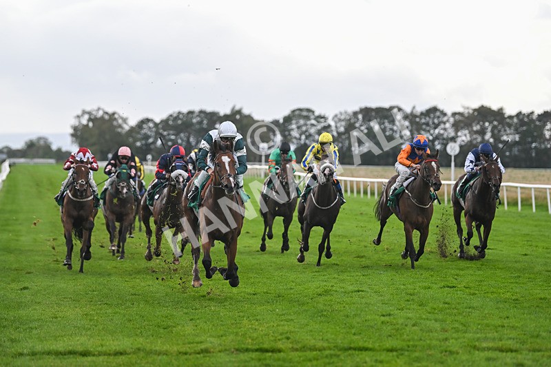 150925-Race 4-Hockney-2752 - Race 4