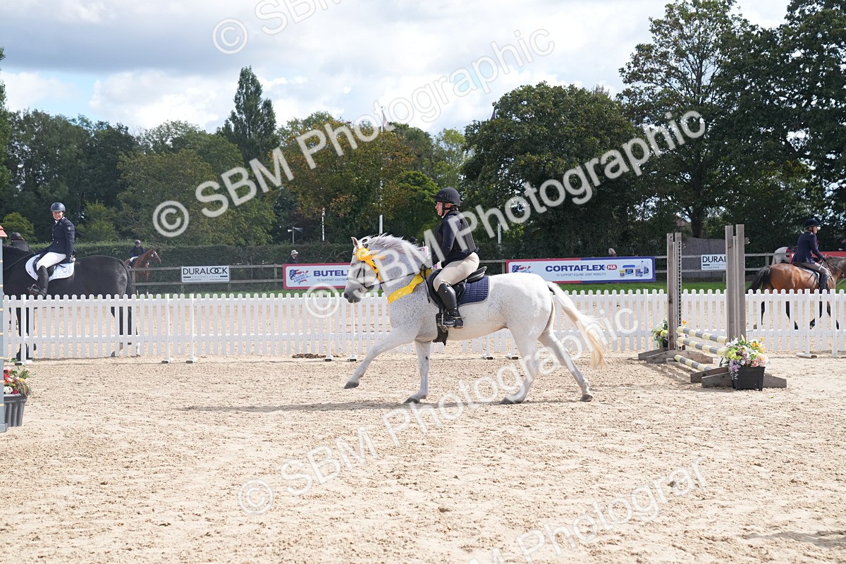 SBM_04153 - J34 Veteran 50cm Championship