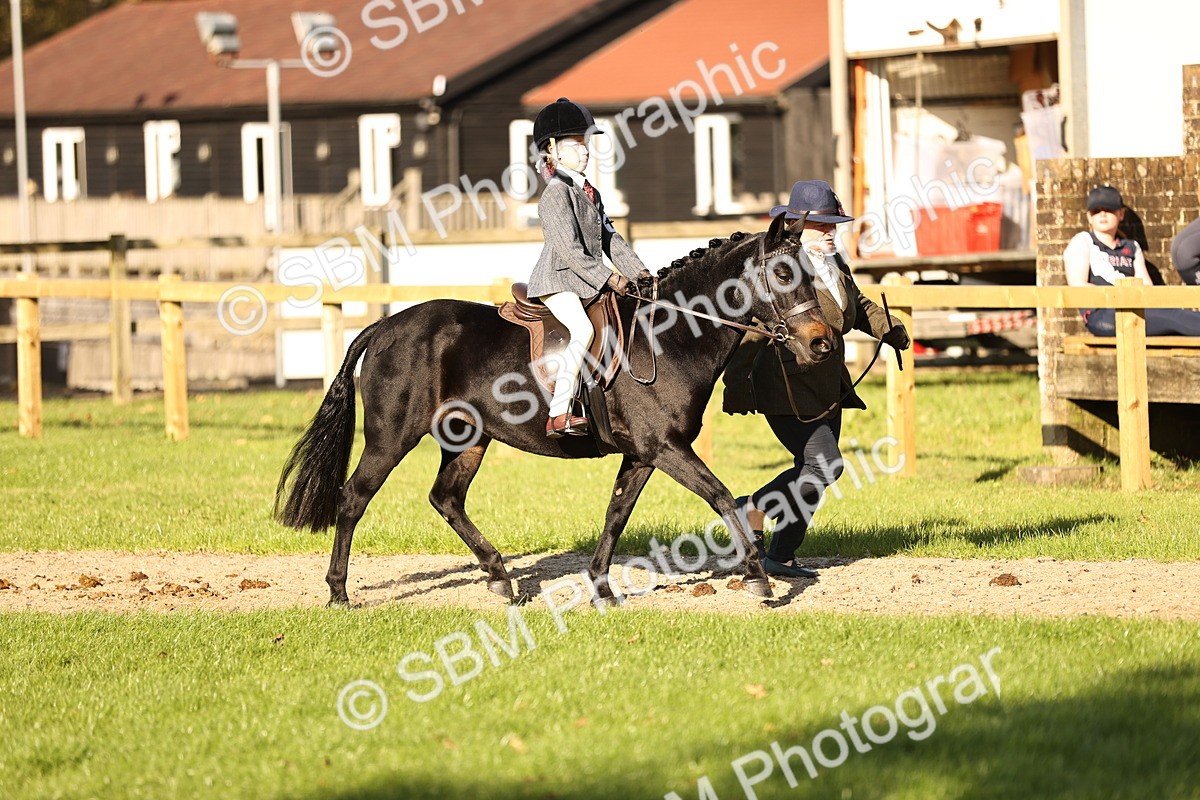 SBM_29364 - S7 - Novice & Newcomers Ridden Pony