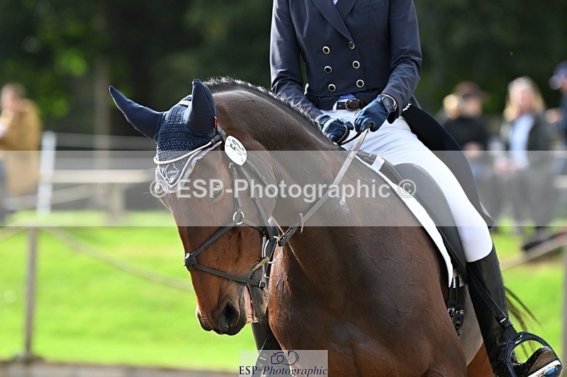 231019-142326-04159 - 052-SHANNONDALE.COURAGE-Georgina.Beeby.Wynn-DR