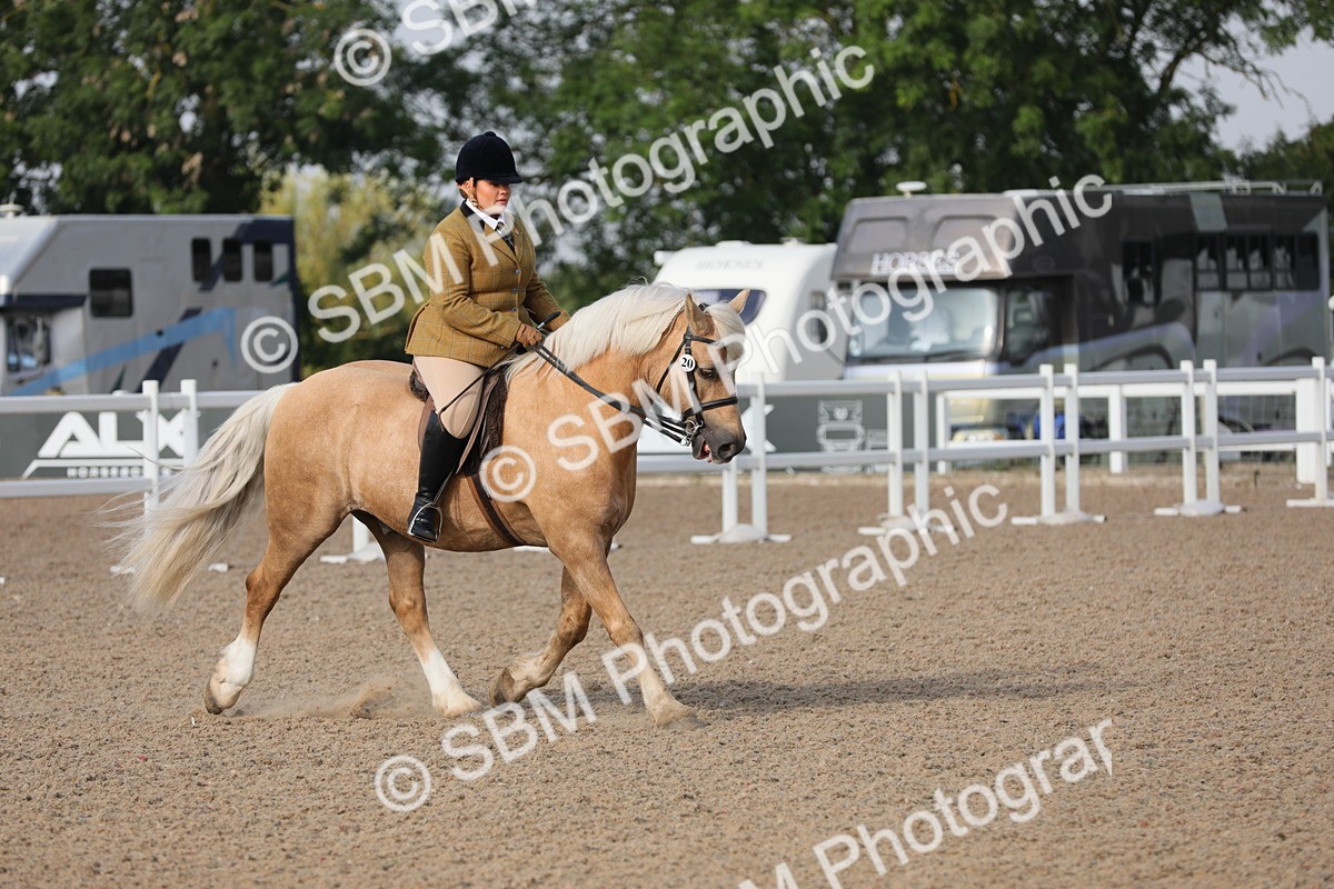 SBM_10108 - Class 302 Ridden M&M -Large Breeds