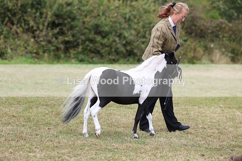 3E7A5416 - Class 19: Best Coloured in Hand