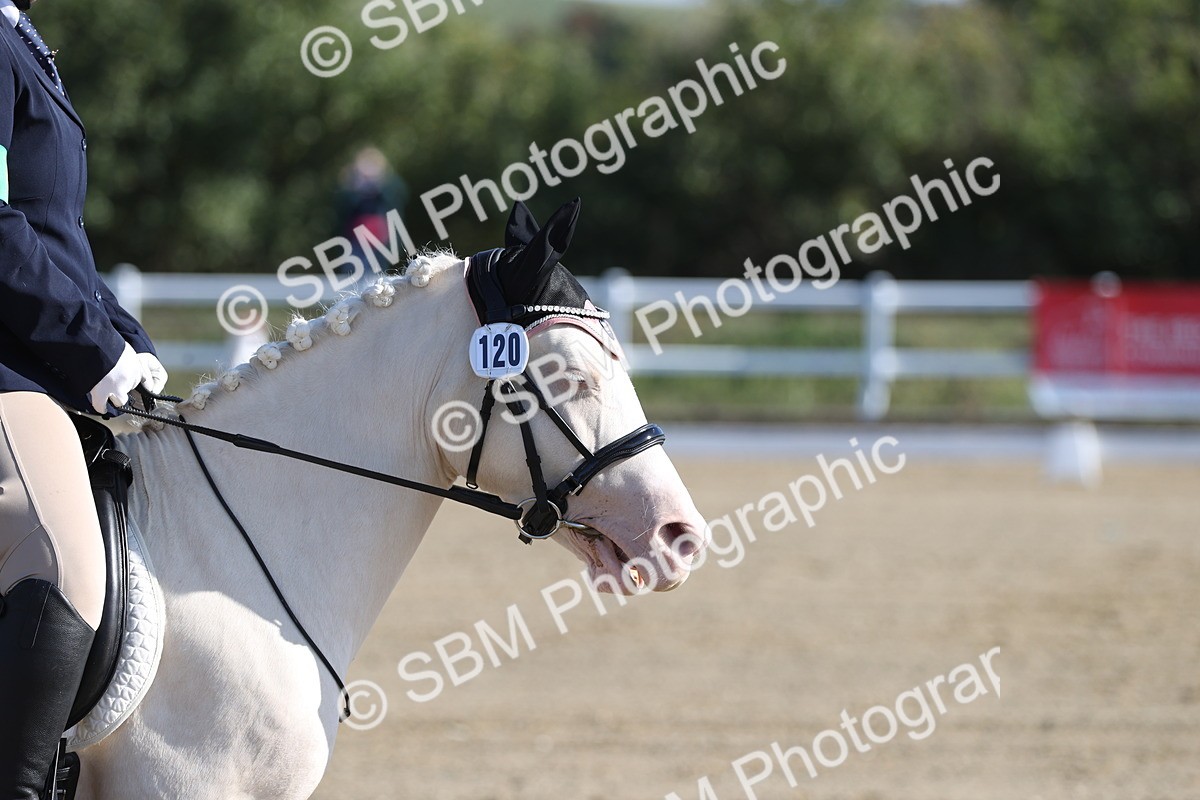 PAO_0082 - Class 2 - Intro 4 Champs - 8.30-9.26