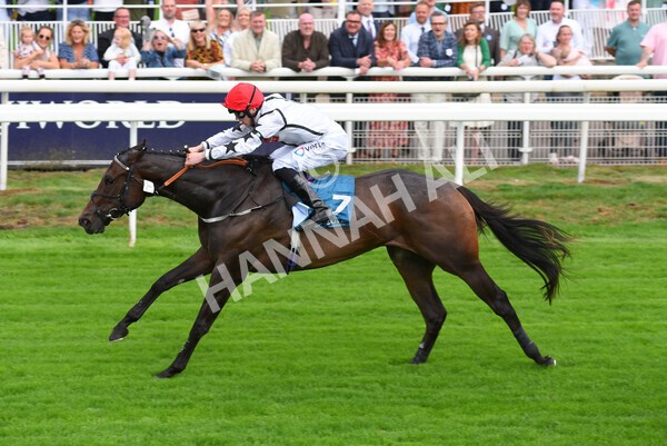 yr04092022r4-23 - Race 4 3.30pm Federation of Bloodstock Agents Nursery Handicap