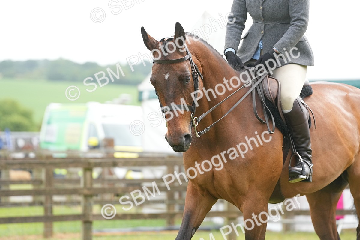 SBM_12727 - Class 97-98 - LIHS BSHA Rising Star Working Show Horse Hunter