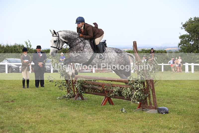 JPP_3808 - Class 23: Working Hunter 80cm