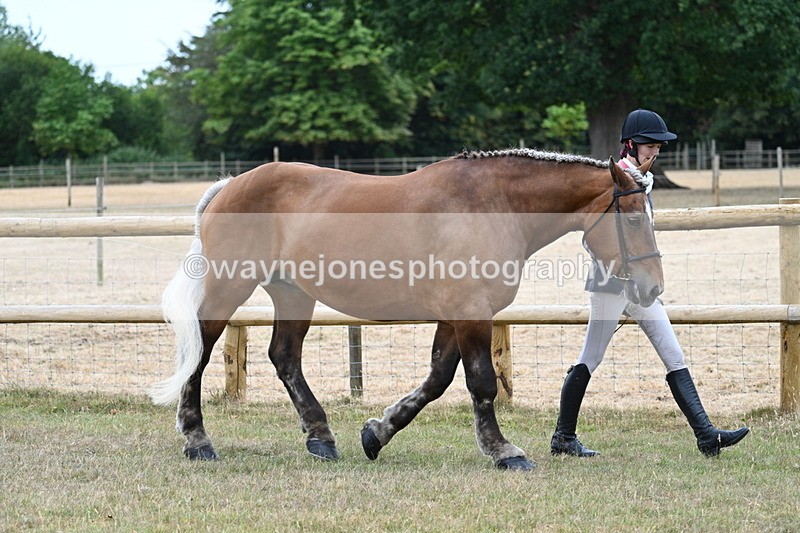 WJ7_8906 - Class 4a Prettiest Mare 14.2hh and over