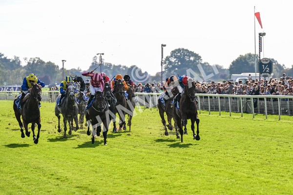 111025-Race 1-Division-0163 - Race 1 Coral Rockingham Stakes at York