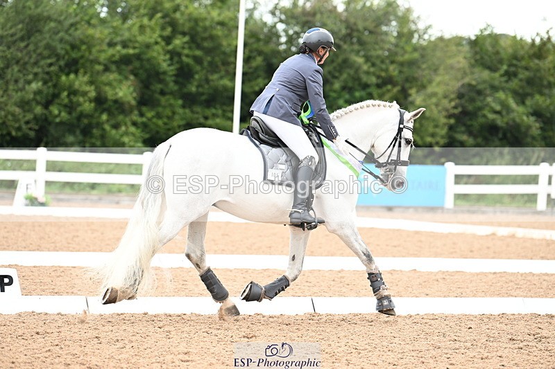 240815A-153507-02383 - Cls 10-P Freestyle Adv Medium Silver