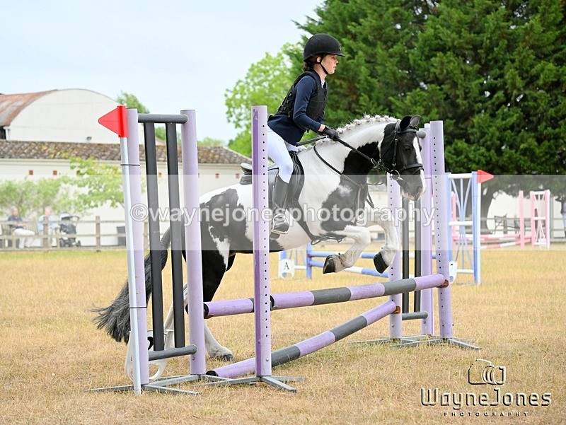 WJ6_0112 - Edited examples
