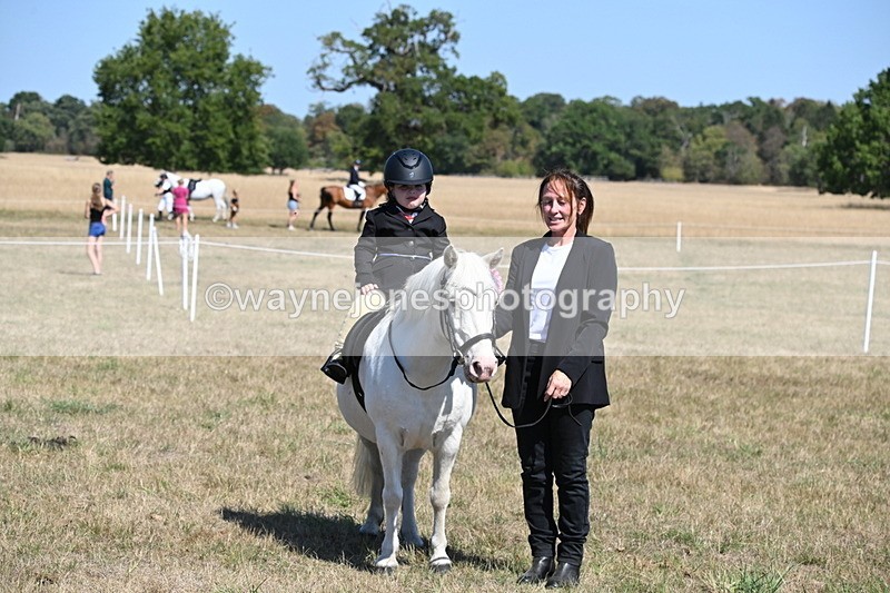 WJ6_8178 - Class 36 Lead Rein