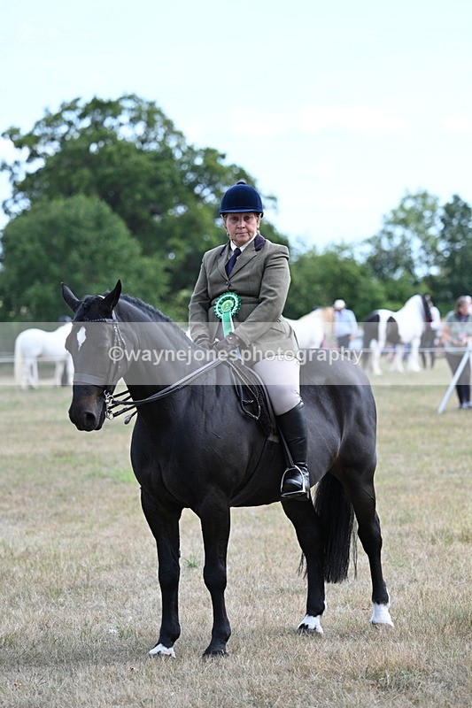 WJ7_6364 - Class 13 Ridden Veterans