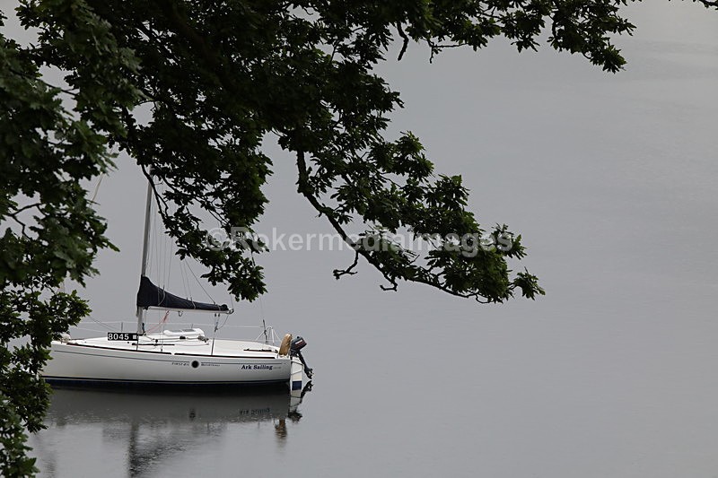356A9549 - Lake District June 2017
