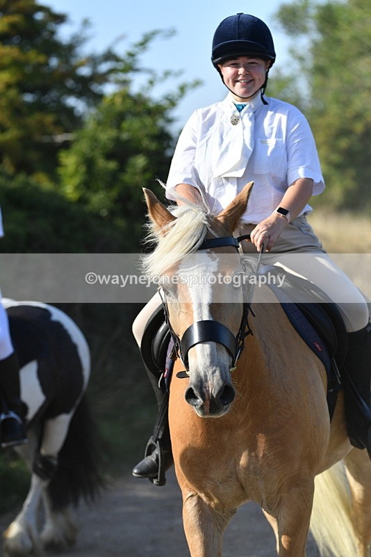 WJ5_5066 - Walk out with the hounds