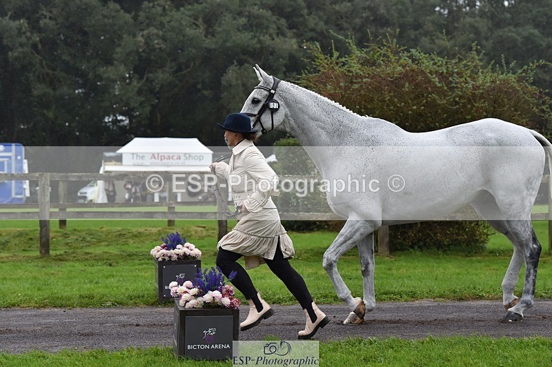 231018-120002-00030 - 003-BOB.CHAPLIN-Kate.Walls-TrotUp