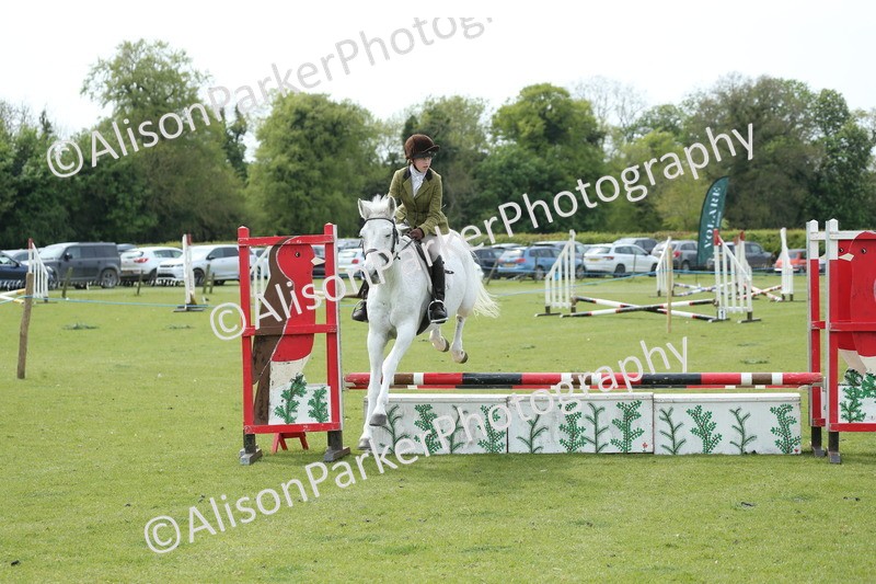 20260426-2094 - Class 15 - Absolute Novice 70cm