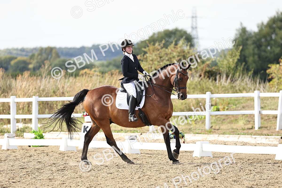 SBM_015440 - Class 9 - Advanced medium 3