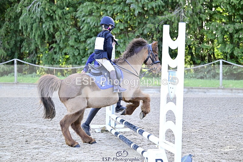 260411A-091619-00044 - 40cm Lead Rein