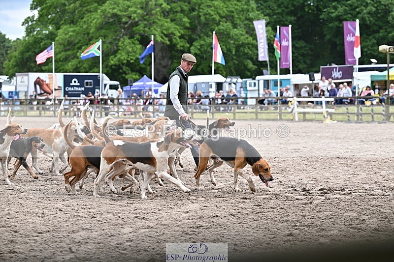 250524A-152217-12696 - East Devon Hounds