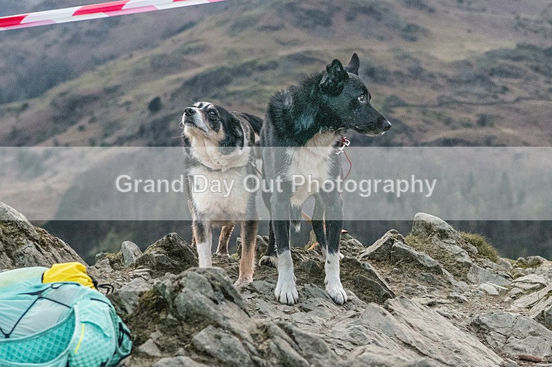Loughrigg-816 - Loughrigg Fell Race, Wednesday 8th April 2026