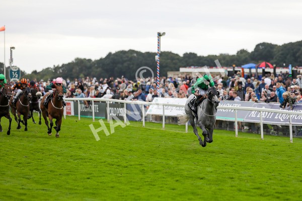 210824-Race 6-Star Of Lady M-7451 - Race 6 4.45pm Visit Irish Yearling Sale With ITM Fillies' Handicap