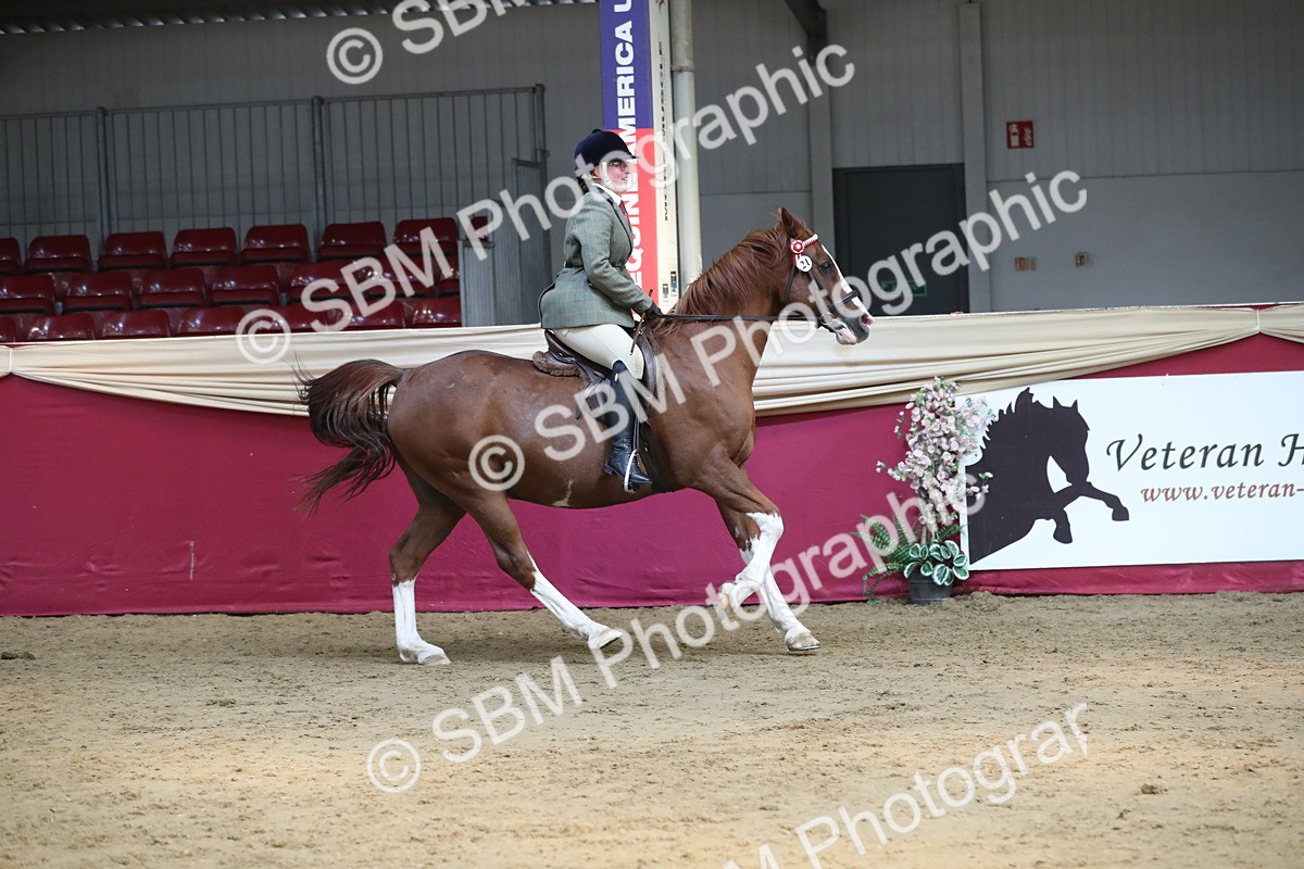 SBM_08304 - Class 11R Regional Ridden Veteran