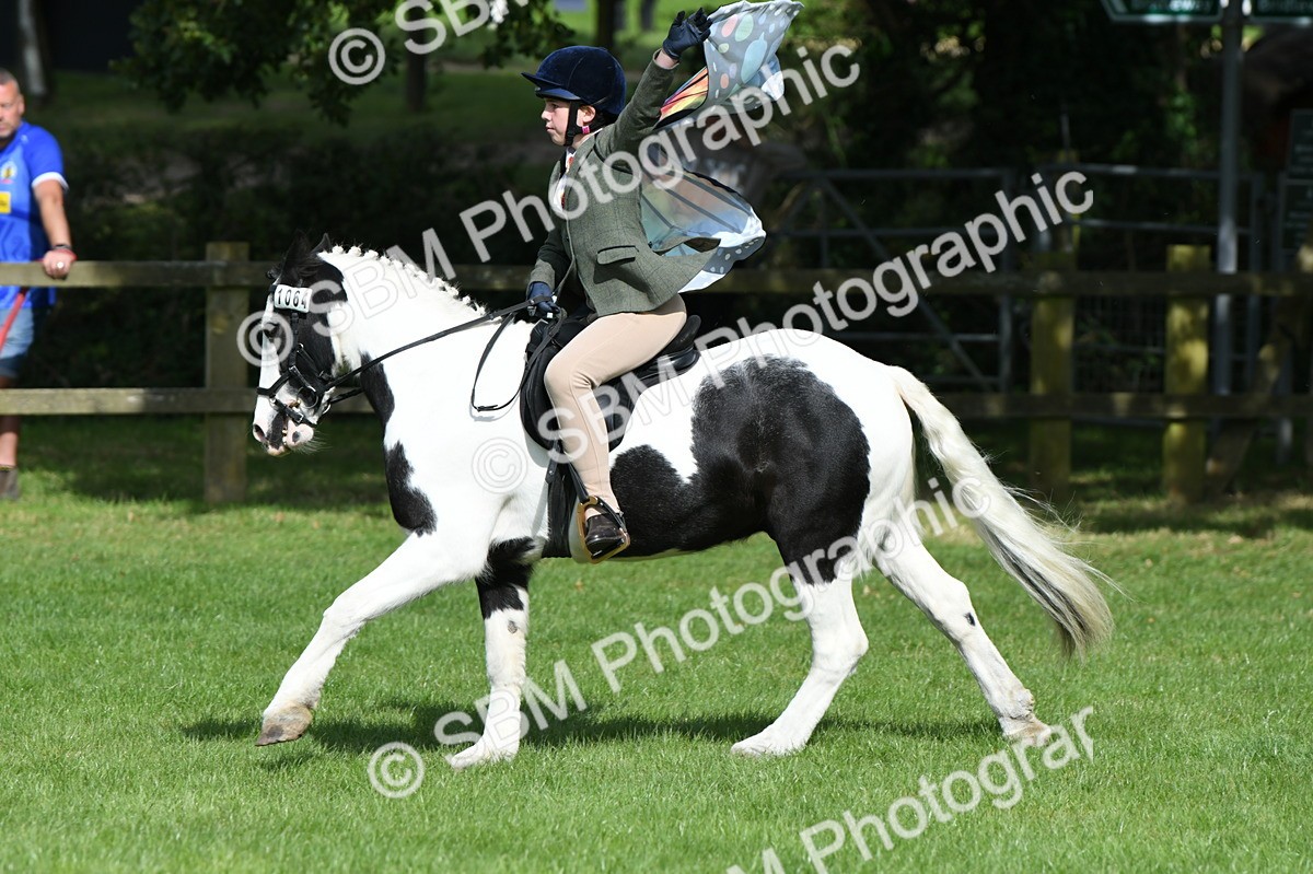 SBM_46991 - S12 - Family Horse & Pony