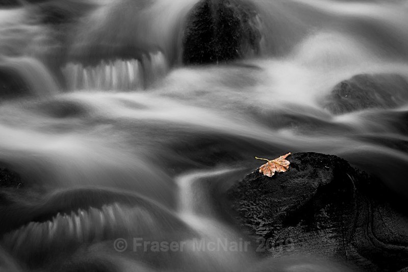 Barr Water B&W - Black & White