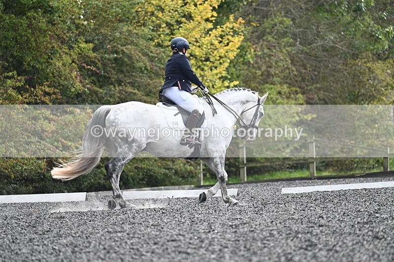 WJ7_6916 - Time 14:49 to 15:14