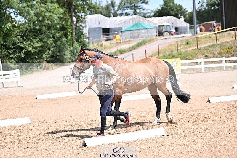 250716-125009-00195 - Trot Up 12.30 to 1.30