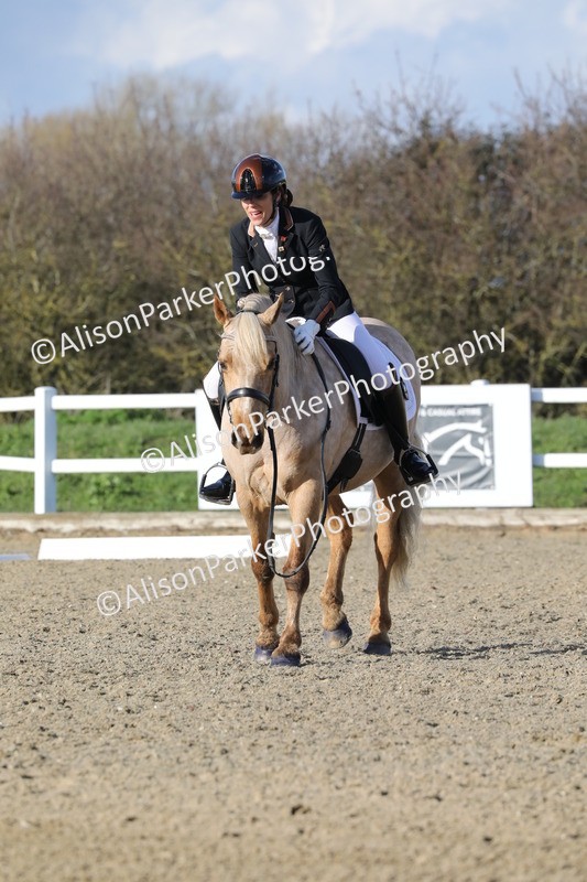 20260314-5823 - DR 7 - Elementary 1