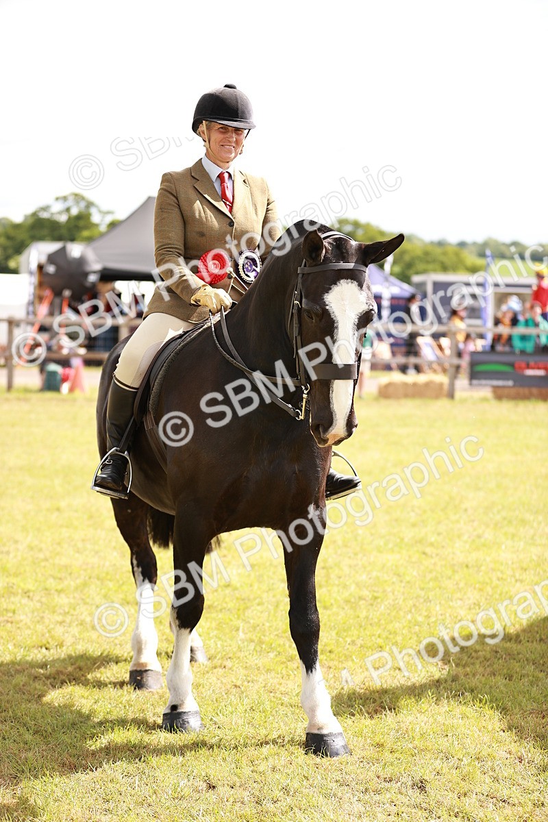 SBM_13150 - Class 85-87 - RIHS Cobs