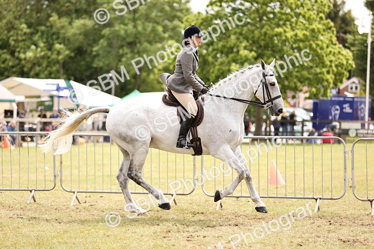 SBM_14665 - Class 88-89 - LIHS BSHA Rising Star of Ridden Hunter Type