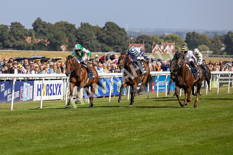 310824-Race 2-Democracy Dilemma-1121 - Race 2