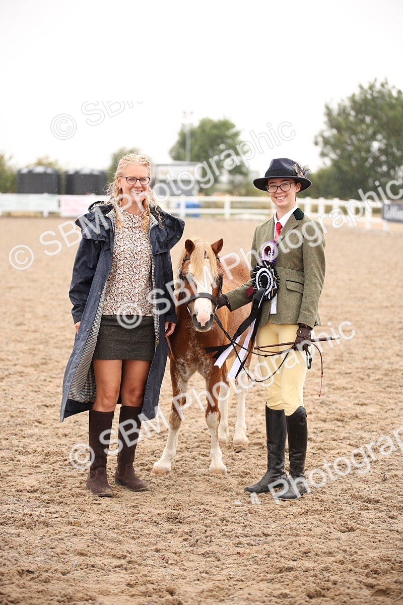 SBM_20233 - Class 703 - IH  Coloured