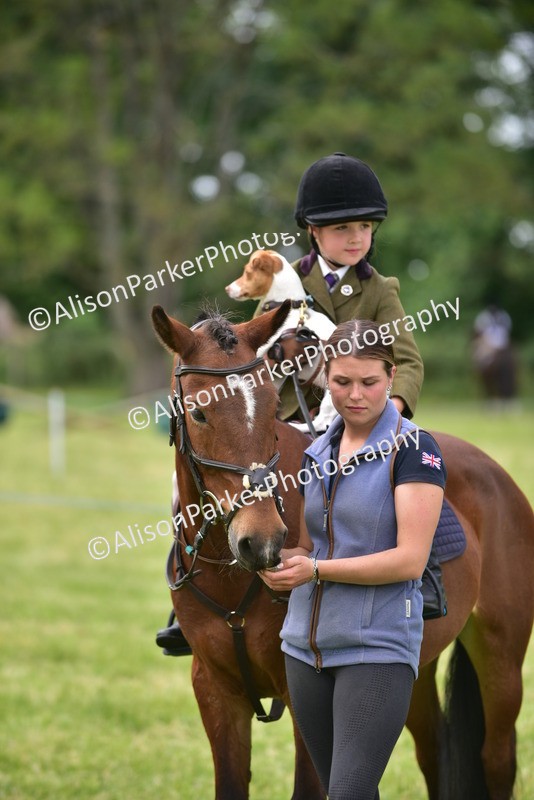 20260614-4540 - Class 19 - Cutest Pony, Rider and Dog Combination