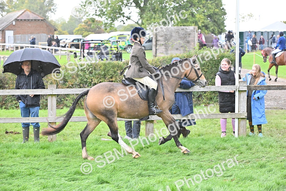 SBM_42950 - S12 - Family Horse & Pony