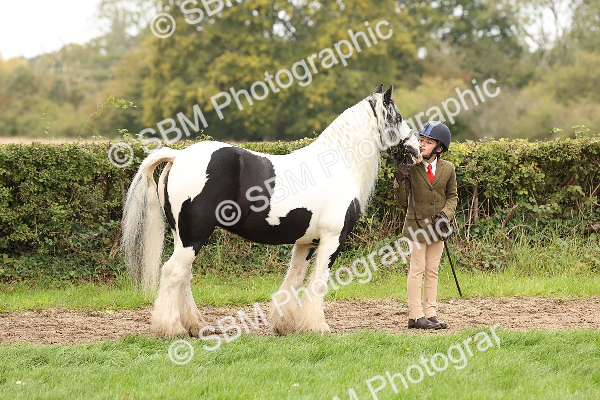 SBM_59233 - S57 - Traditional Cob In Hand