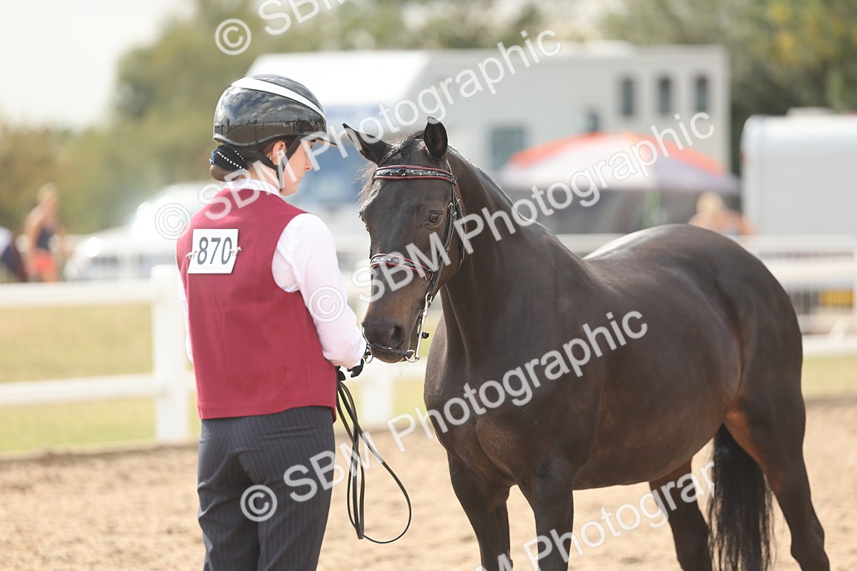 SBM_06889 - Class 25 - IH Foreign Breeds - Purebred