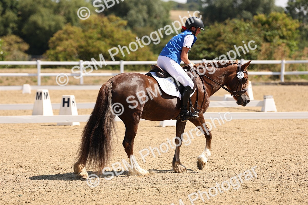SBM_001134 - Intro 2