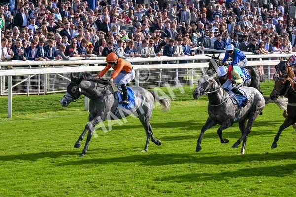 111025-Race 2-Grey Cuban-8318 - Race 2 Coral 'Pipped At The Post' Handicap at York