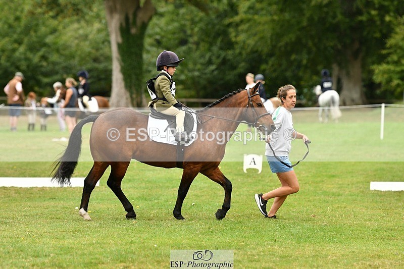 250820A-115201-05334 - 11am to 12