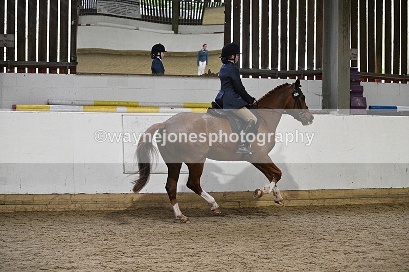 WJ7_3852 - Class 17 Ridden Cob