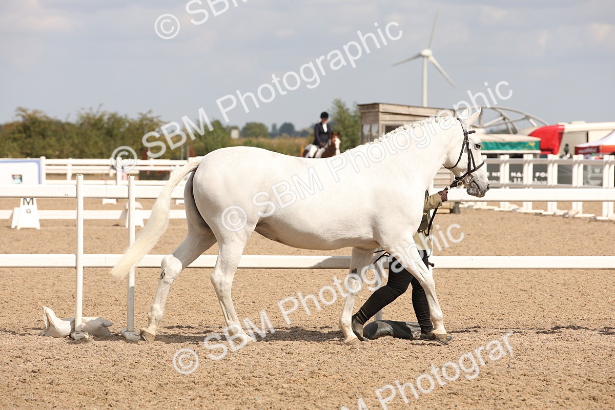 SBM_04521 - Class 20 IH Veteran