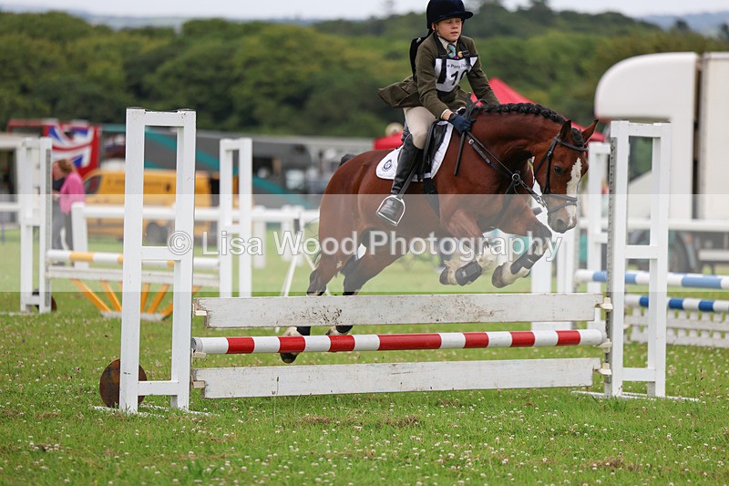 3E7A2964 - Class 1: Open 70cm (Not all Competitors)