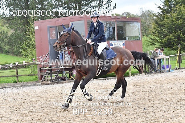 BPP_3239 - SAT CLASS 10 Club/ Unaffiliated 80cms Open